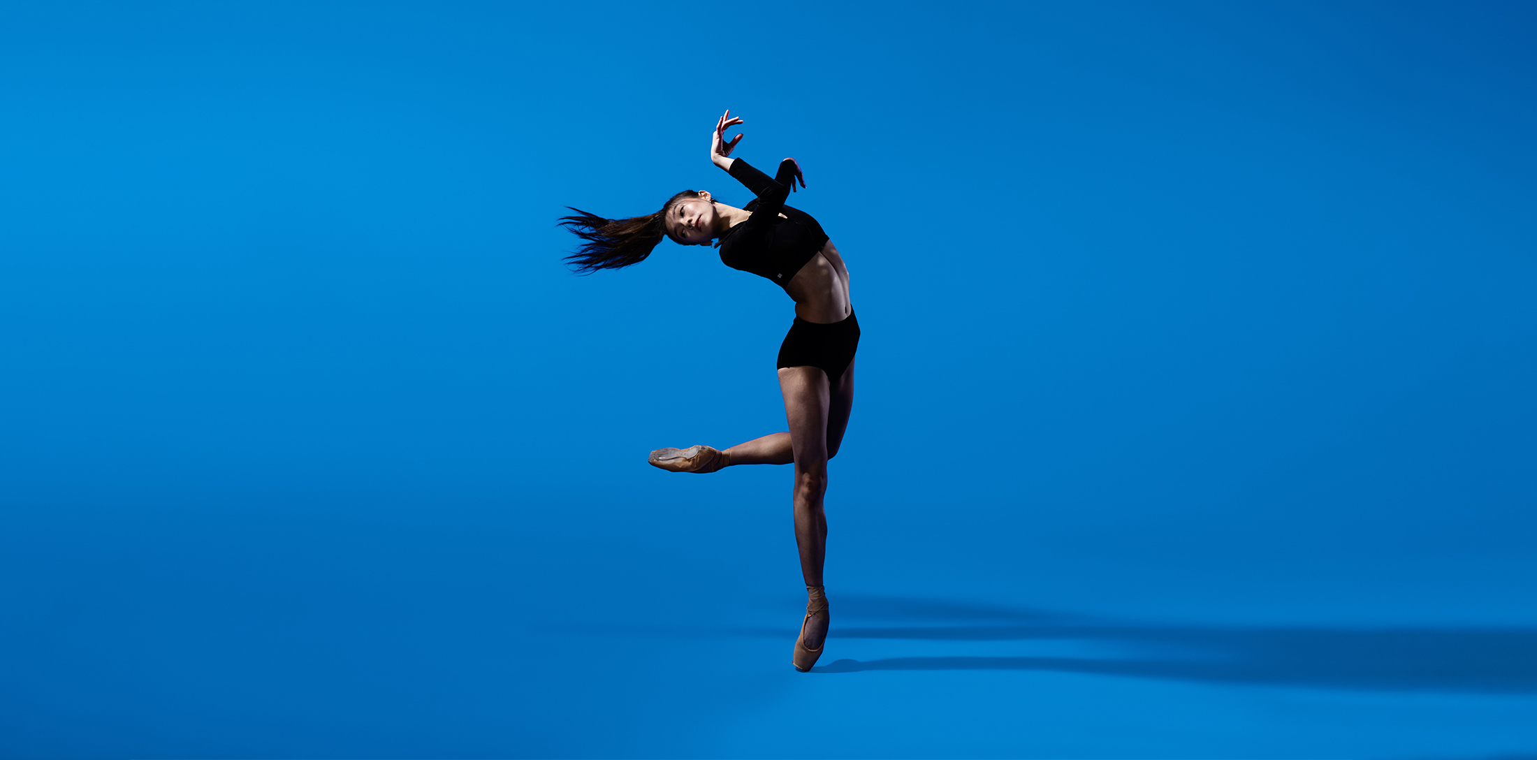 Artist of the Ballet