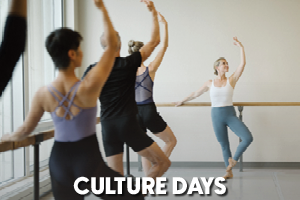 Culture Days