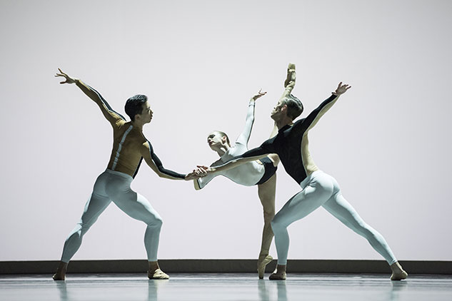 Artists of the Ballet in Anima Animus