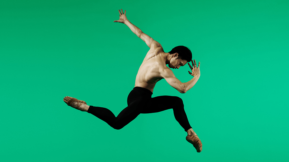 Artist of the Ballet