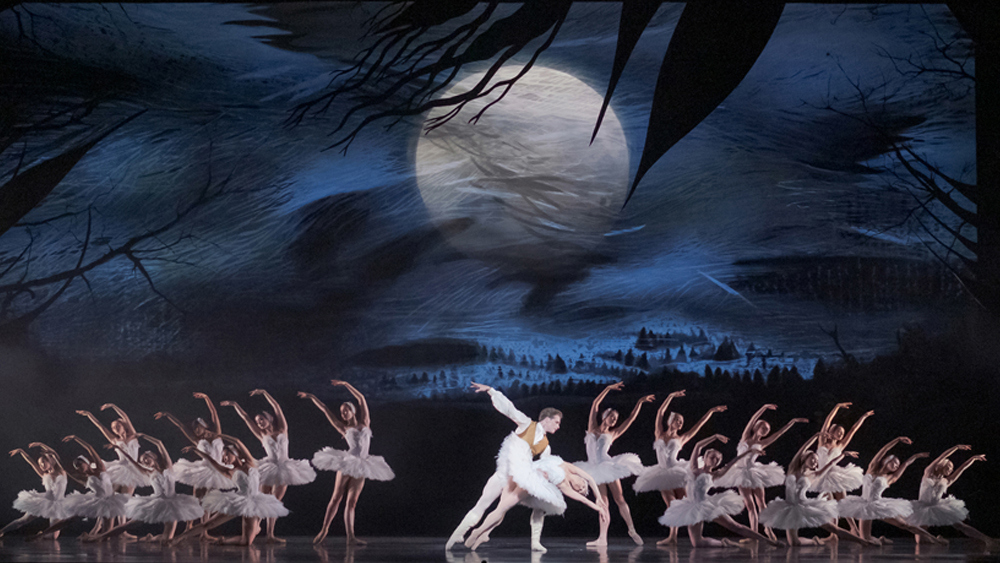 Artists of the Ballet in Swan Lake