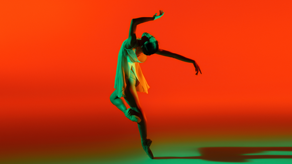 Artist of the Ballet