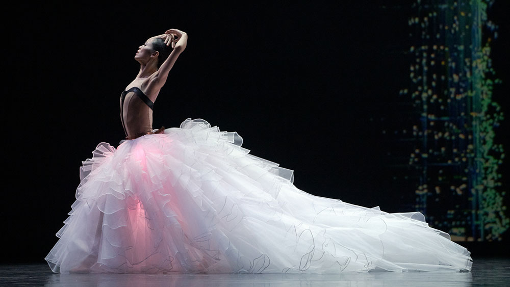 Artist of the Ballet