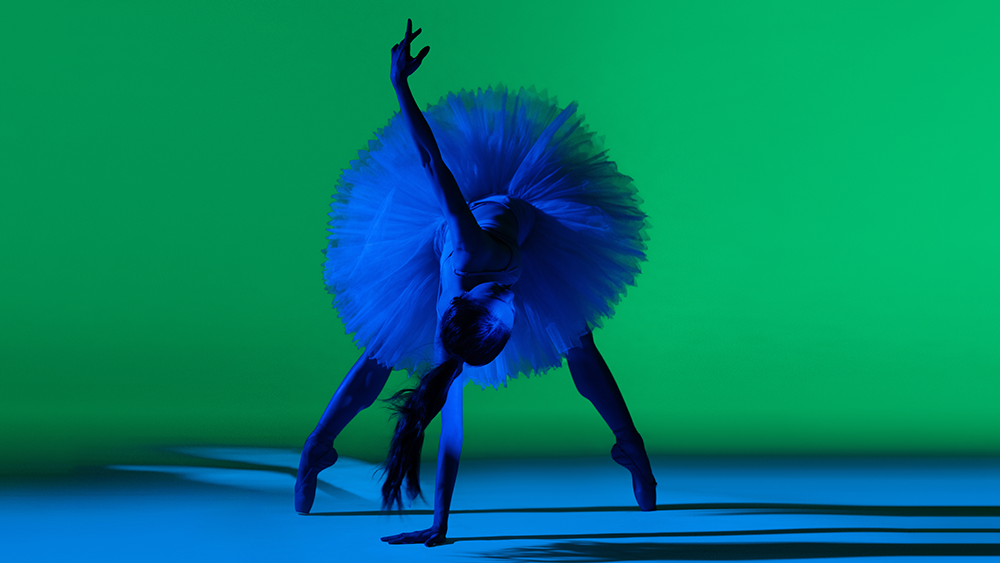 Artist of the Ballet
