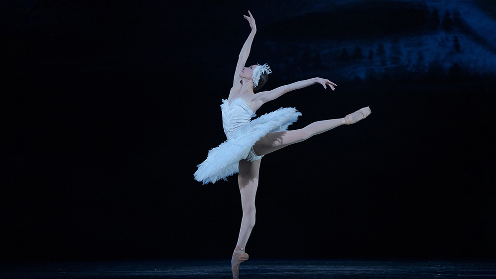 Svetlana Lunkina in Swan Lake. Photo by Karolina Kuras. 