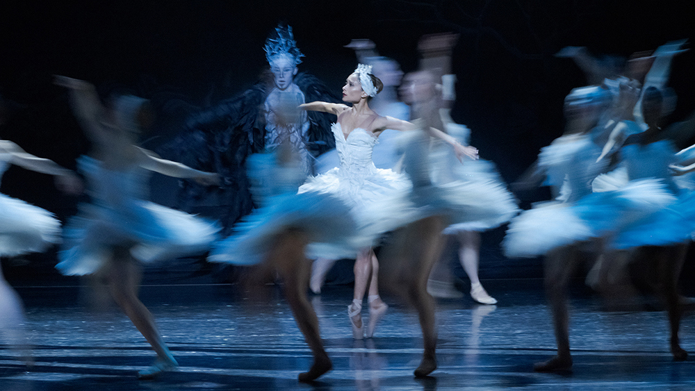 Tina Pereira with Artists of the Ballet in Swan Lake. Photo by Karolina Kuras. 