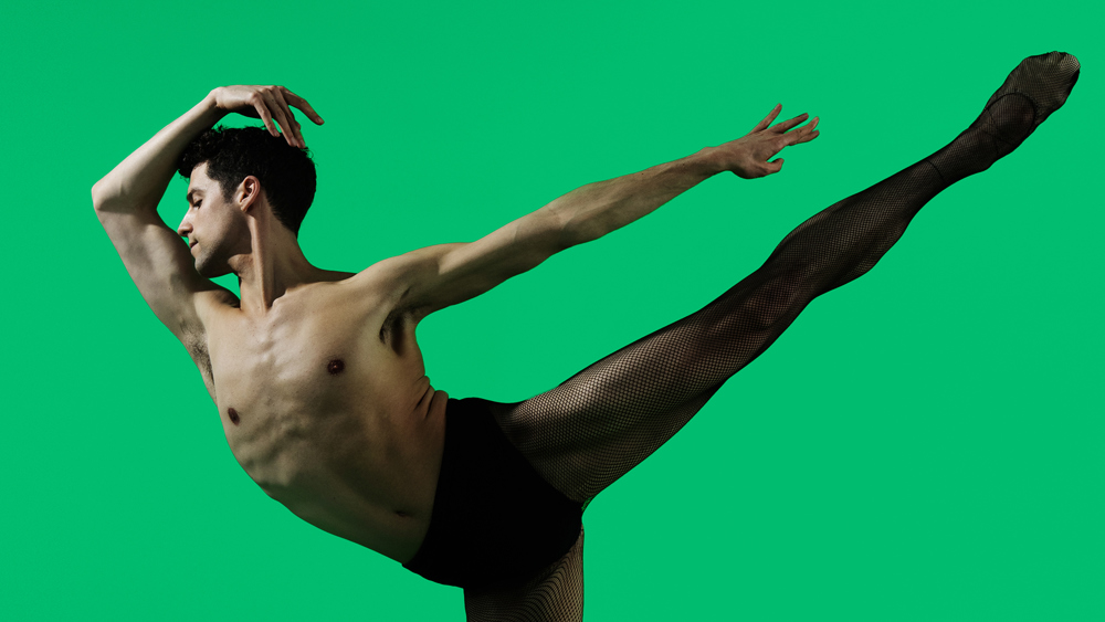 Artist of the Ballet