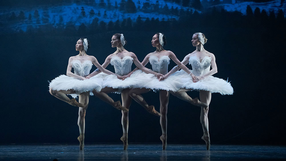 Artists of the Ballet in Swan Lake.