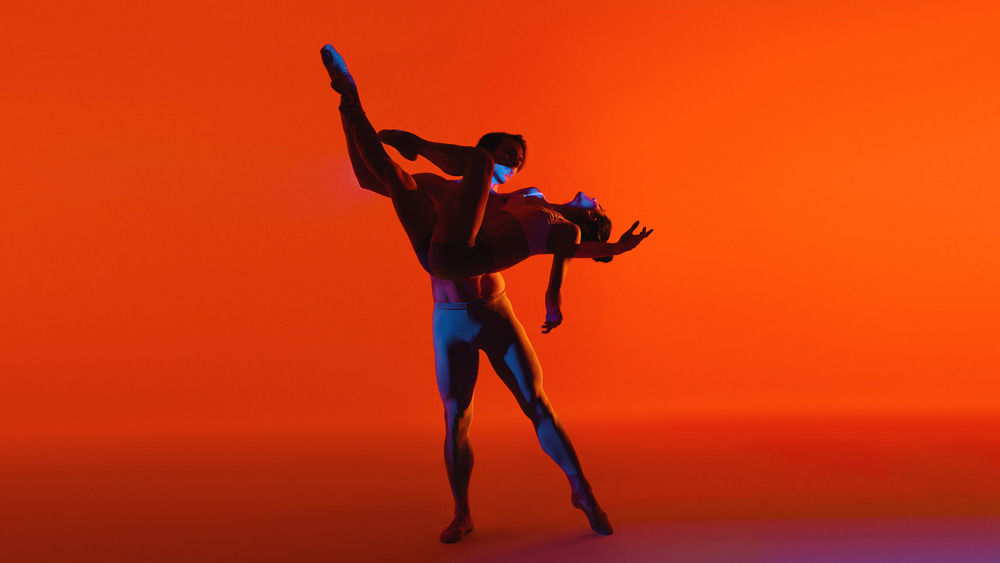 Artists of the Ballet